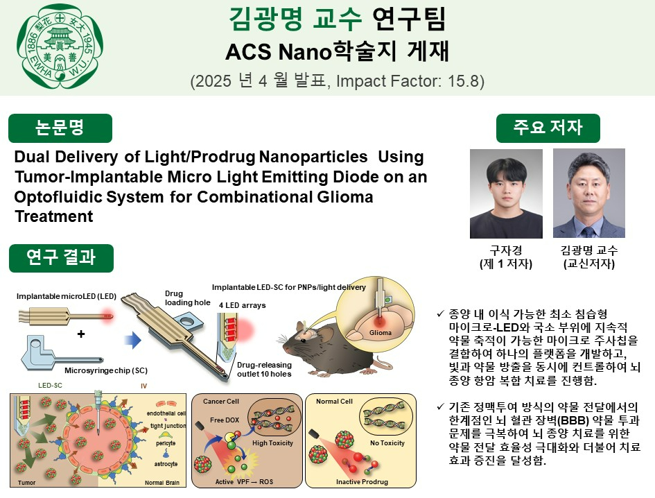 김광명 교수 연구팀, ACS Nano 학술지에 이식형 광-약물 전달 시스템 기반 뇌종양 치료 연구 게재